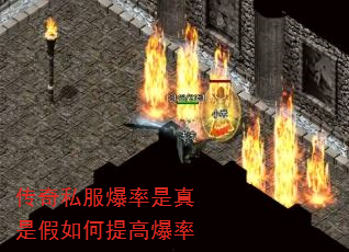����˽�����������Ǽ������߱���