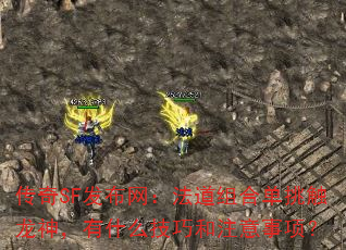 ����SF��������������ϵ�����������ʲô���ɺ�ע�����