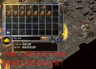 ���棺��δ����ֵ���ϵͳ���ϵĶ������У�