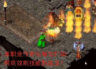 ��ְҵ����˽����ʦ��θ�Чˢ���������ȣ�