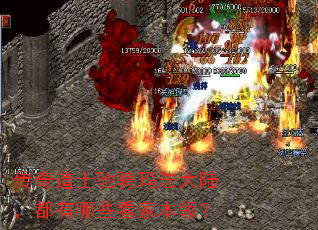 �����ʿ�۳��귨��½��������Щ���ұ��죿