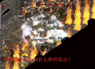 �����ʿְҵ��ʲô�������㣿
