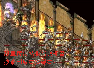 ��Ѫ����˽���ٻ����޼��ܵ����ж�ϡ�У�