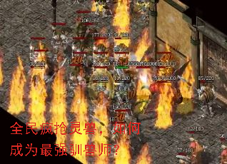ȫ��������ޣ���γ�Ϊ��ǿѱ��ʦ��