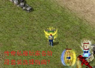 ����˽����Ҹ��׶���װѡ��ָ�ϣ�