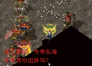 ��ʿ���𣺴���˽������������·��