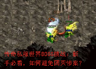 ����˽������BOSS��ս�����ֱؿ�����α�������Ұ���