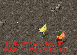 ����˽������BOSS��ս�����ֱؿ�����α�������Ұ���