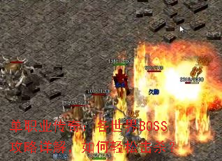 ��ְҵ���棺������BOSS������⣬������ɻ�ɱ��