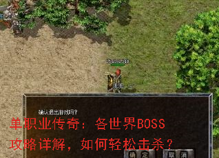 ��ְҵ���棺������BOSS������⣬������ɻ�ɱ��