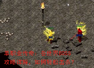 ��ְҵ���棺������BOSS������⣬������ɻ�ɱ��