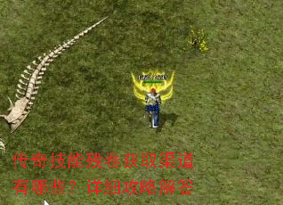 ���漼�ܲо���ȡ��������Щ����ϸ���Խ��