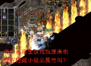 ����˽��������ָԭ��Ҳ��������С��Ʒ������
