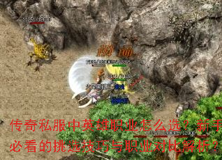 ����˽����Ӣ��ְҵ��ôѡ�����ֱؿ�����ѡ������ְҵ�ԱȽ�����