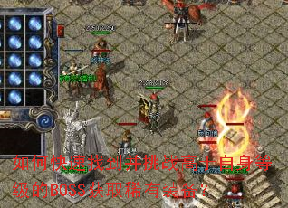 ��ο����ҵ�����ս���������ȼ���BOSS��ȡϡ��װ����
