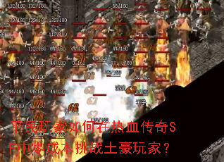 ƽ������������Ѫ����SF����ɱ���ս������ң�