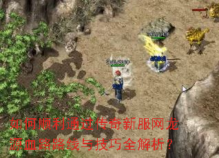 ���˳��ͨ�������·�����ԴѪ··���뼼��ȫ������