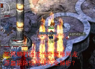 ���˳��ͨ�������·�����ԴѪ··���뼼��ȫ������