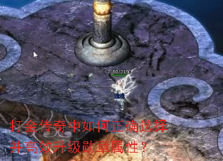 ������������ȷѡ�񲢸�Ч����ѫ�����ԣ�