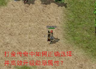 ������������ȷѡ�񲢸�Ч����ѫ�����ԣ�