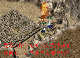��ԴѪ·������������Լӳ���λ�ȡ������Щ�ؼ����ɣ�