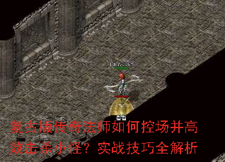 ���Ű洫�淨ʦ��οس�����Ч��ɱС�֣�ʵս����ȫ����
