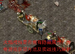 �����ָ�Ƿ�ӵ���������ԣ�������Ϸ��ȡ������ʵս���ɽ���