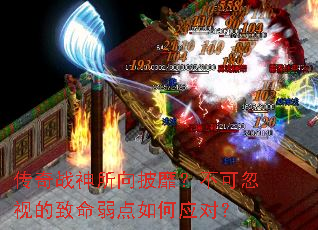 ����ս���������ң����ɺ��ӵ������������Ӧ�ԣ�