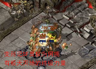 ���μ�SF����Ϊ��ӵ�л�����ص��ռ�����