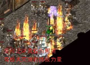 ���μ�SF����Ϊ��ӵ�л�����ص��ռ�����