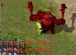 �����¿����棬��Щ�����ָ��������������