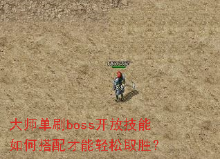 ��ʦ��ˢboss���ż�����δ����������ȡʤ��