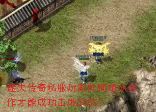 ��ʧ����˽����������Ӻ������ܳɹ�����BOSS��
