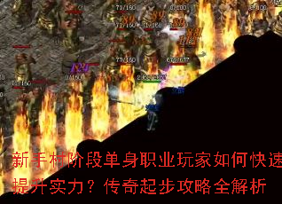���ִ�׶ε���ְҵ�����ο�������ʵ���������𲽹���ȫ����