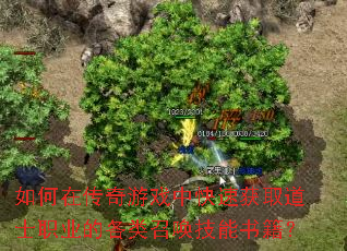 ����ڴ�����Ϸ�п��ٻ�ȡ��ʿְҵ�ĸ����ٻ������鼮��