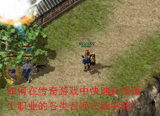 ����ڴ�����Ϸ�п��ٻ�ȡ��ʿְҵ�ĸ����ٻ������鼮��