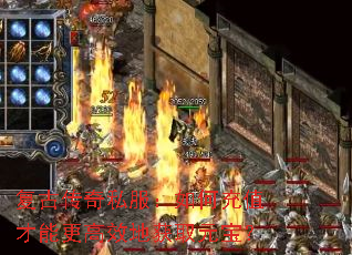 ���Ŵ���˽������γ�ֵ���ܸ���Ч�ػ�ȡԪ����