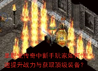 ��ְҵ���������������ο�������ս�����ȡ����װ����