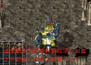 ��ʿְҵΪ���ܳư�ս������Ѫ֮��ĺ��ļ�������������