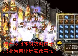 ����˽��PK�Ծ�ʱ��ʿְҵΪ������Ҷ����£�