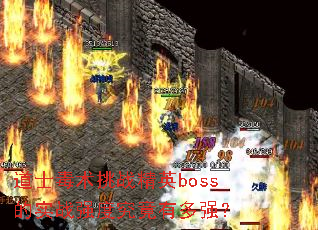 ��ʿ������ս��Ӣboss��ʵսǿ�Ⱦ����ж�ǿ��