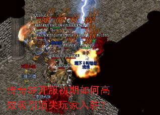 ����SF����������θ�Ч�������������פ��