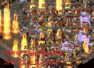 ����SF����������θ�Ч�������������פ��