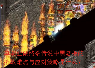 ��ְҵ΢�ն˴�˵�к��ϰ����ս�ѵ���Ӧ�Բ�����ʲô��