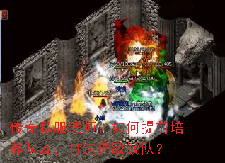 ����˽����ʦ�������ǰ�������ѣ������޵�ս�ӣ�