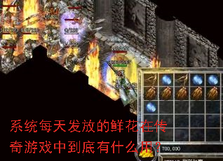 ϵͳÿ�췢�ŵ��ʻ��ڴ�����Ϸ�е�����ʲô�ã�