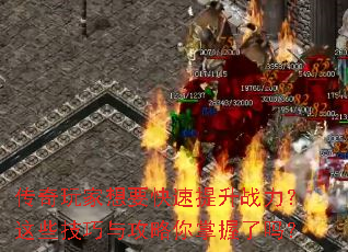 ���������Ҫ��������ս������Щ�����빥������������