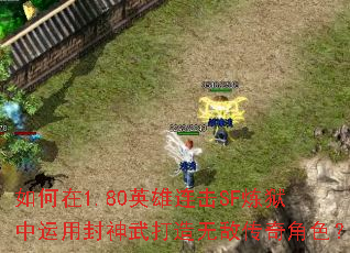 �����1.80Ӣ������SF���������÷���������޵д����ɫ��
