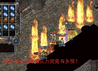 ��ʿְҵ������ʵ�������ж�ǿ��