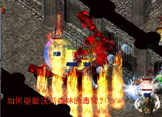 �����ɢ����ɭ�ֵĶ�����